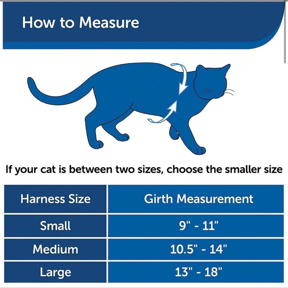 Pet safe come with me kitty harness and bungee leash blue medium